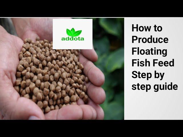 Step by step on How to produce Floating Fish Feed with Addota farm