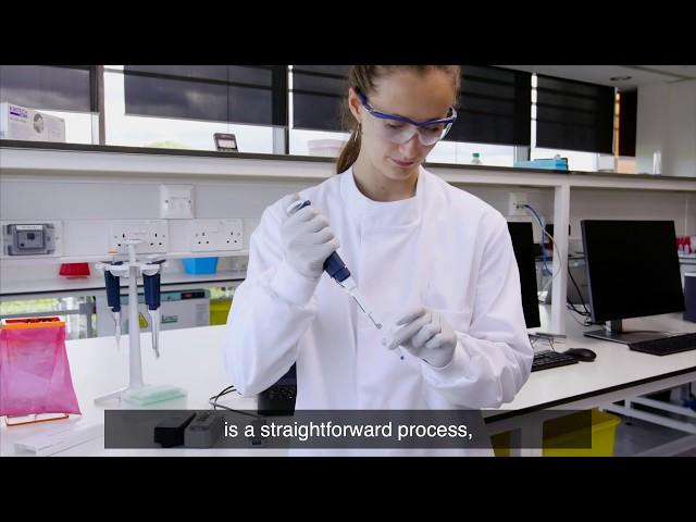 Introduction to nanopore sequencing