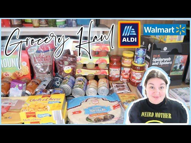 I HAD TO BUY A NEW MICROWAVE | 1-Week Grocery Haul & Meal Plan | ALDI & WALMART HAUL | OCTOBER 2024