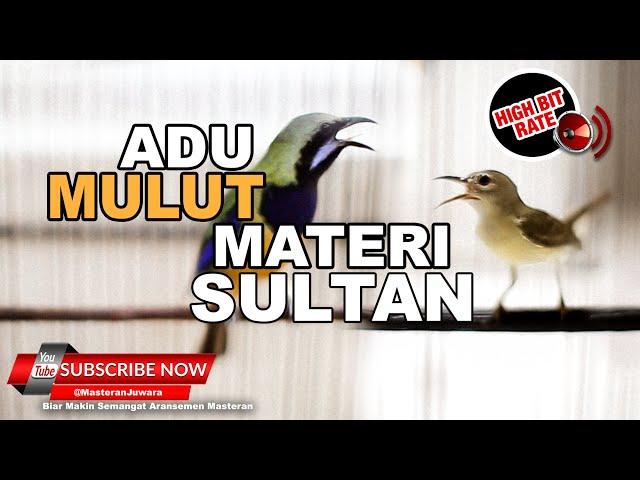 #1  Masteran Juwara Materi Sultan Bruney Cucak Cungkok VS Kolibri Kelapa️Masteran Ampuh️