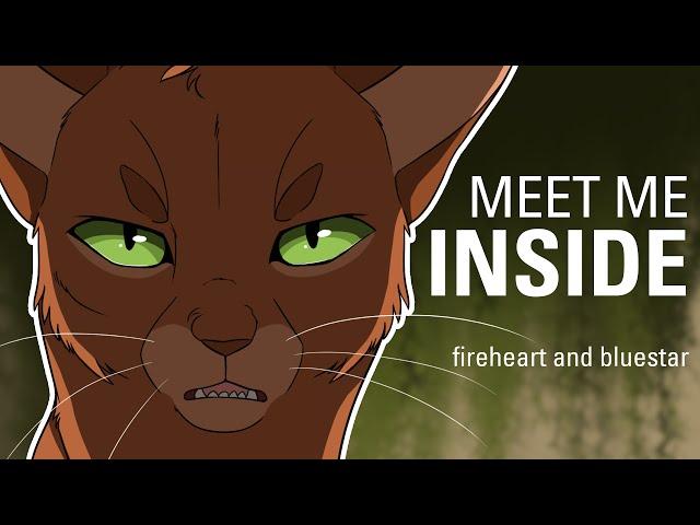 MEET ME INSIDE// Bluestar and Fireheart