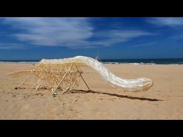 Strandbeests - New Living Species Found In The Netherlands