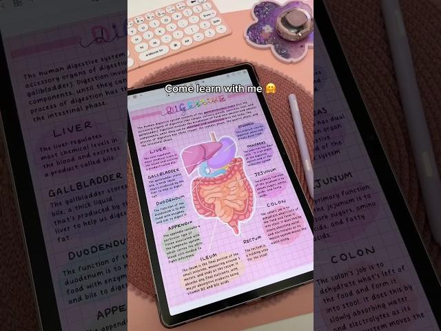How I take aesthetic digital notes ️ Penly app | Samsung galaxy tab S9 | aesthetic notes