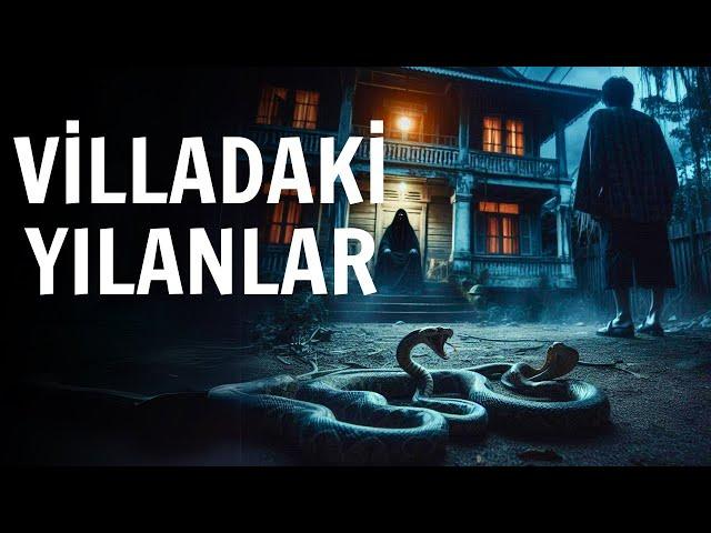 Yeni Yaptırdığım Villadaki Yılanlarla Yaşadığım Paranormal Olaylar / Cin Hikayeleri / Korku Hikayesi