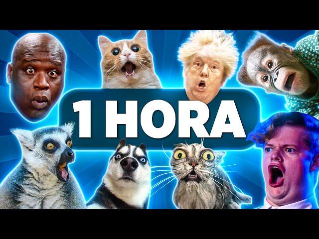 1 HORA DE COSAS QUE NO SABÍAS! ⏰  [XpressTV]