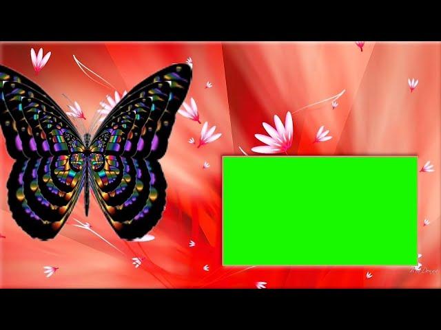 Wedding Green Screen Effects 173/ vfx green screen photo frame background video