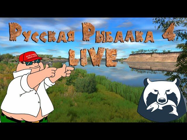 Русская Рыбалка 4 LIVE/Цветные карпы на Янтарке!!!