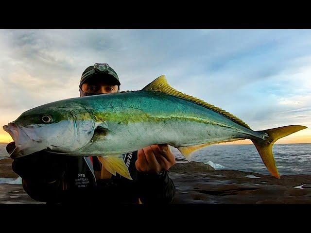 How to Catch Fish on Lures Rock Fishing