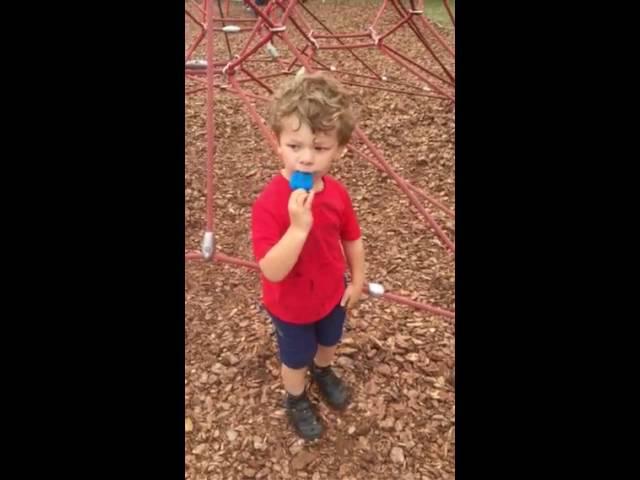 Lestat eats blue ice lolly at the park