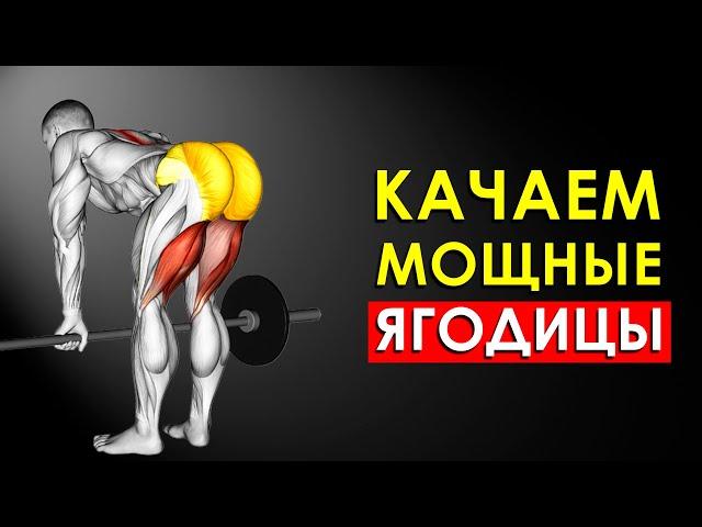 Как Накачать Мышечные Ягодицы? Комплекс Лучших Упражнений.