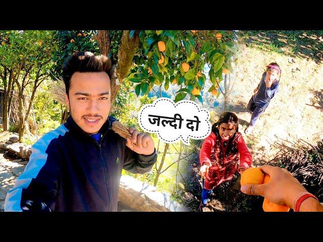 छोटे बच्चों की जिद,नारंगी चाहिए || Namaste Pahad || Ashutosh Negi || Pahadi Lifestyle Vlog