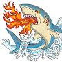 Fireshark