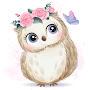 Emy Owl