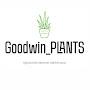 Goodwin_PLANTS