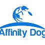 Affinity Dog