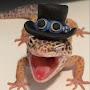 DapperGecko