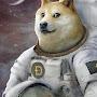 @doge4818