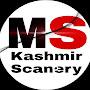 @kashmirscanery3804