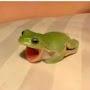 screaming frog