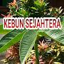 @KebunSejahtera