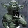 Yoda Jacara