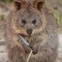 @absolutquokka1594