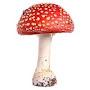 Poison_mushroom