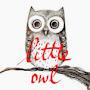Little Owlbooks