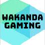 @wakandagaming1718