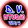 D.V.Studio show