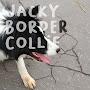 @JackyBorderCollie