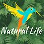 Natural Life Vlog