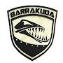 @barracuda_stream7247