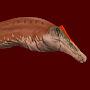 The Orange Spinosaurus