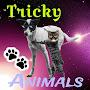 @TheTrickyanimals