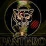 Panthro_Vernacular