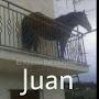 @juan-xv4rv