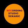 RECORDING STUDIO ŠEKARIĆ