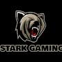 @starkgaming.285