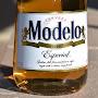 12pk-of-Modelos