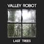 Valley Robot