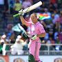 Pink Cricketer