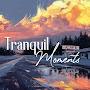 @TranquilMoments-1