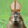 Nik-new capybara 