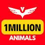 1Million Animals