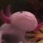 мемный axolotl