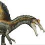 Spinosaurus Aegyptiacus