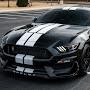 @ShelbyGT-td9oq