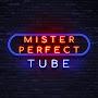 @misterperfecttube5377