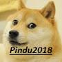 Pindu2018